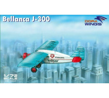 Dora wings - Bellanca J-300