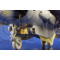 Eduard - AV-8B Harrier II Plus (haseg.)