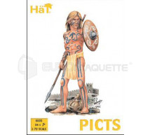 Hat - Picts
