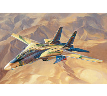 Hobby boss - F-14A IRIAF