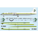 F rsin - CL-44J Aer Turas