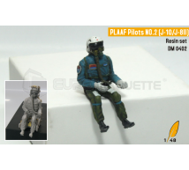 Dream model - PLAAF pilot (2)