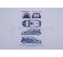 Racing decals 43 - Ford Fiesta 23 Catalunya 2013