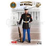 Icm - US Marines