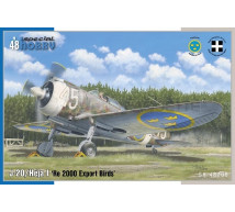 Special hobby - Re-2000 Export