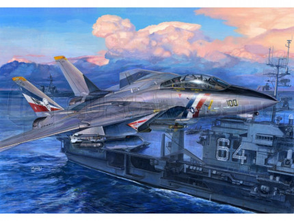 Trumpeter - F-14D