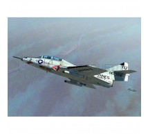 Sword - TF-9J Cougar Vietnam War & BlueAngels