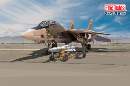 Fine molds - F-14A IRIAF