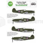 Ask - P-40B Pearl Harbor defenders Part 1