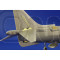 Eduard - AV-8B Harrier II Plus (haseg.)