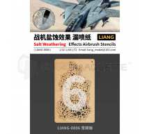 Liang model - Salt weathering stencil standart
