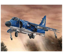 Special hobby - Sea Harrier FA 2